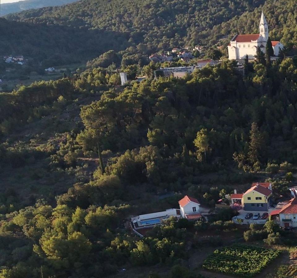 Antonija * Stari Grad (Hvar)